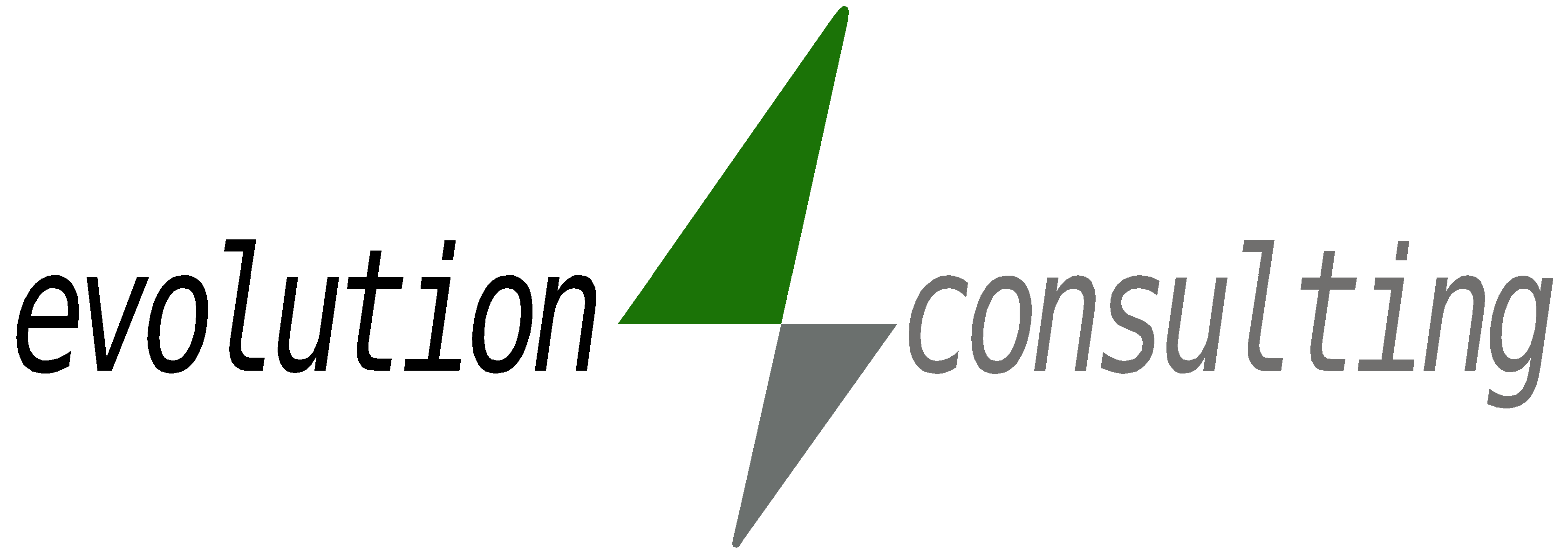 evolution consulting