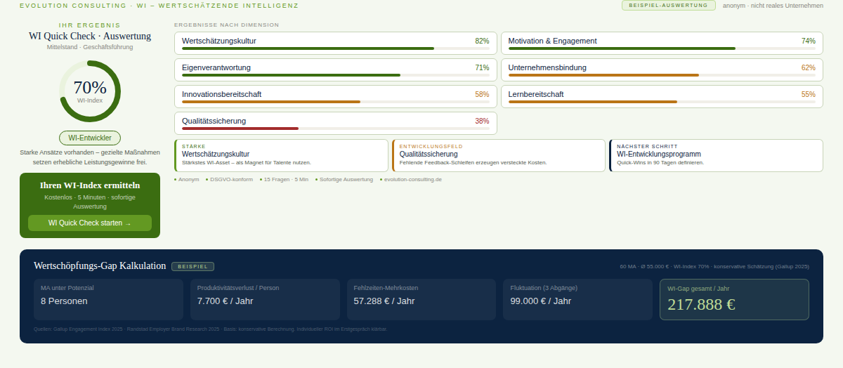 Ergebnisbeispiel WI-Quick Check by evolution consulting 
